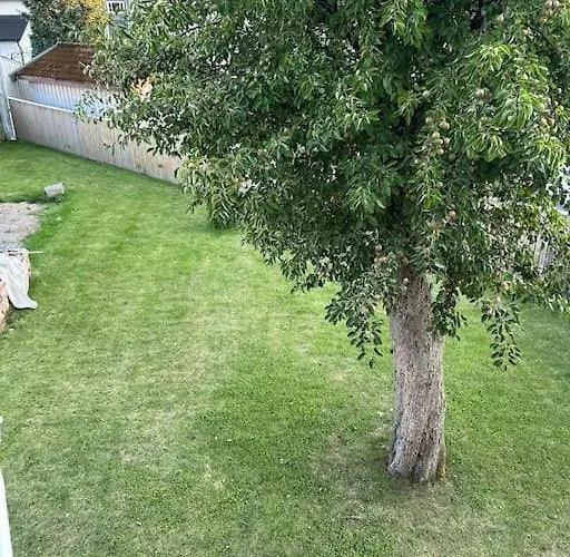 Sentralt I شقة ساربسبورغ