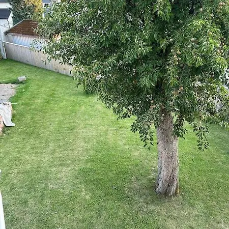 Sentralt I アパート サルプスボルグ